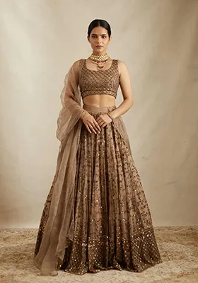 Brown Embroidered Net Lehenga Set