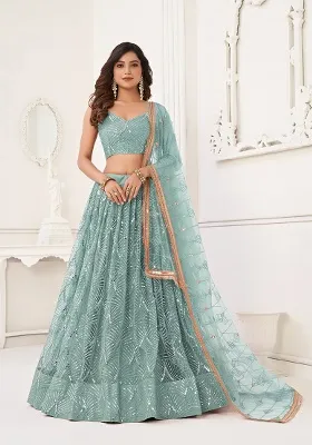 Ocean Blue Embroidery Net Lehenga Set