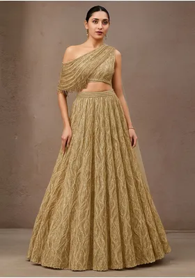 Golden Embroidered Net Lehenga Set