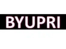 BYUPRI Net Embroidered Saree With Unstitched Blouse Piece ( Yellow )